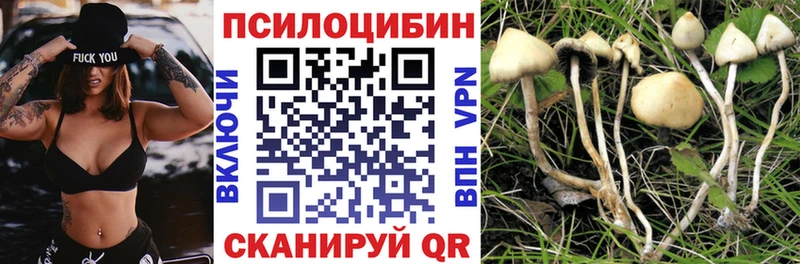 мега онион  Сосновоборск  Галлюциногенные грибы GOLDEN TEACHER 