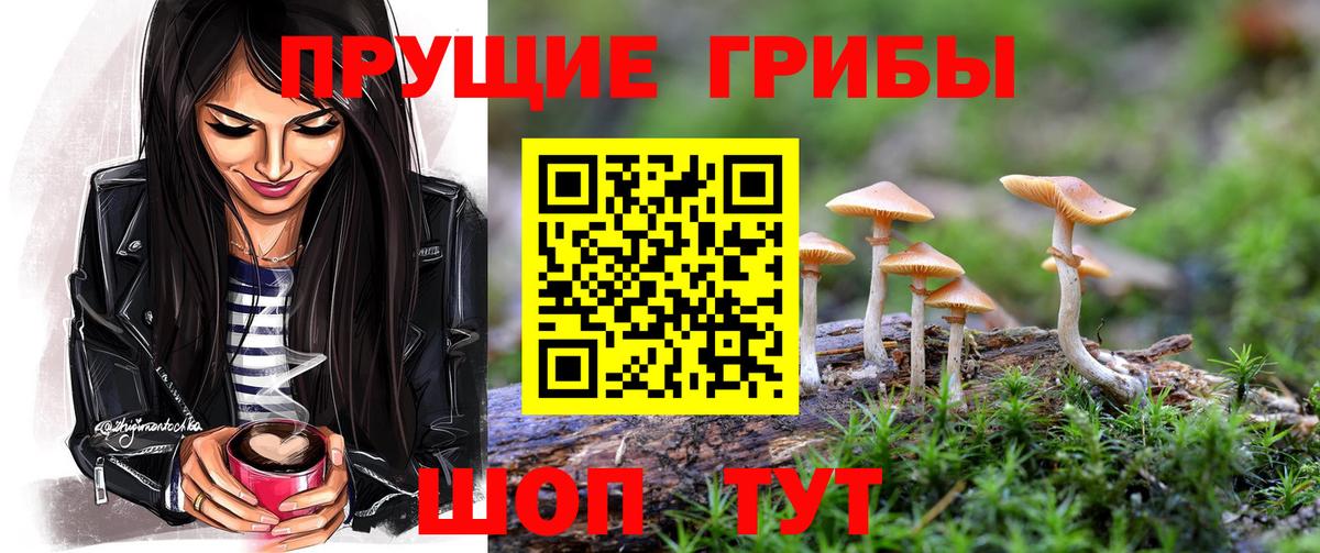 Псилоцибиновые грибы ЛСД  Вход с VPN  Псилоцибиновые грибы Magic Shrooms  Сосновоборск 